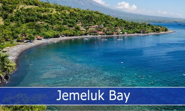 Dive into a world teeming with diverse fish species, including reef sharks, trevally, and more at Jemeluk Bay